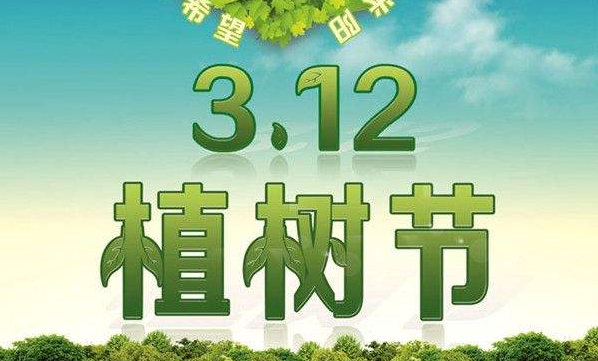 2016年環(huán)保植樹公益行活動(dòng)小記